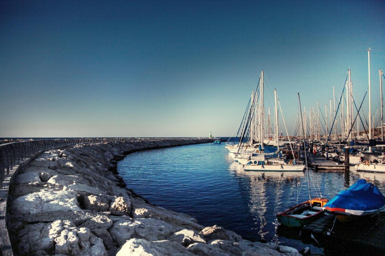 Beach Hotel By Zvieli Hotels تل أبيب المظهر الخارجي الصورة